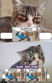 Почти 50 тысяч мигрантов за сутки прорвались из Марокко через границу испанской Сеуты. Примерно 25 тысяч нелегальных иммигрантов уже добровольно вернулись на марокканскую территорию, пишет El Pais со ссылкой на МВД Испании.  В Сеуте сейчас все магазины, в…