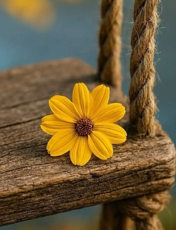 🎆🎀 فتونایس 🎀🎆: 🌼گوینــد🍃سـلام صبح🌼طلایے ترین ڪلیــد🍃براے ورود بہ قلبهاست🌼پس صمیمے ترین 🍃ســـــلام 🌼تقدیم بہ شما مهربان‌ها🍃امید ڪہ طلـوع