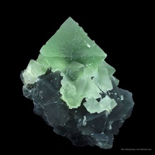 Minerales y Gemoterapia
