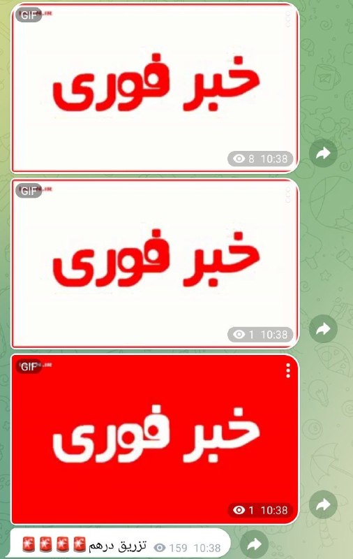 اخبار،طلا،دلار و سکه کارگشا: باز دوباره نزدیک دلار نزدیک دویست شد و خبر پخش میکنند که با فرغون دارن درهم صلواتی پخش میکنند@kargosha