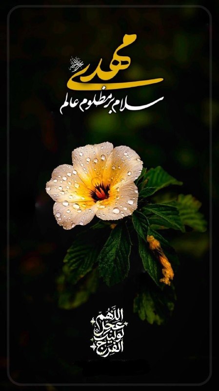 ایران سرای من 🇮🇷: #دعای_سلامتی_امام_زمان_عج🌼بِسم اللهِ الرَّحمنِ الرَّحیم*۞اَللّهُمَّ۞**۞کُنْ لِوَلِیِّکَ۞**۞الْحُجَّةِ بْنِ الْحَسَنِ۞**۞
