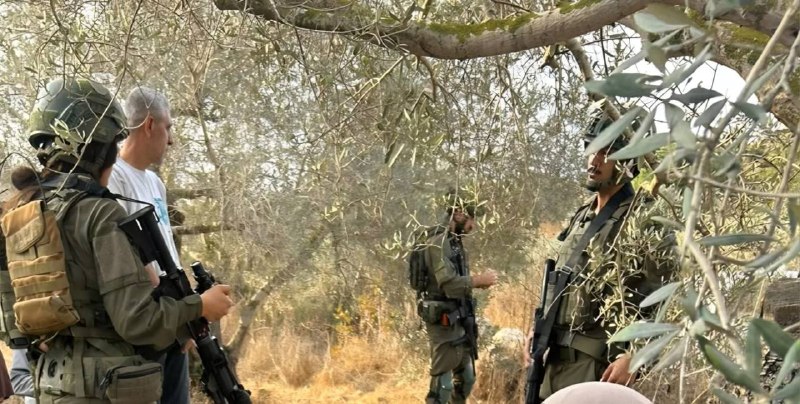 מעקב: צה"ל מונע מחקלאים למסוק זיתים בכפר ברטעה מצפון לג'נין