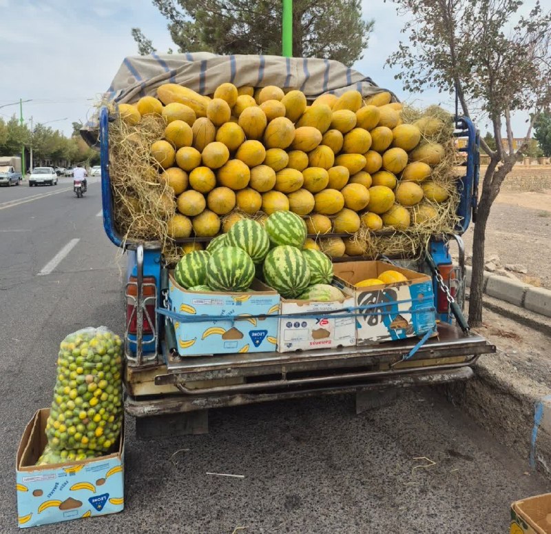 کانالِ دیوارِنایین_DivareNaein: فروش خربزه درجه ۱ مشهدی فوق العاده شیرین و به شرطفروش انگور نباتی کیلویی ۸۰ تومان آدرس: خیابان ولیعصر روبروی مدرسه عطار