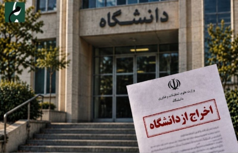 Expulsion of 3 students was approved by the Ministry of Science