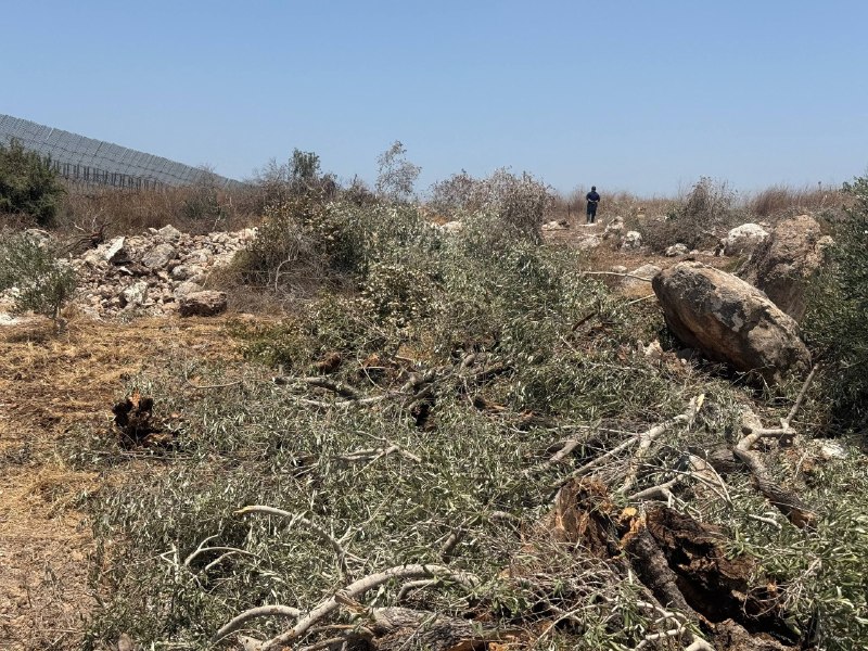 רשת חדשות ירושלים
