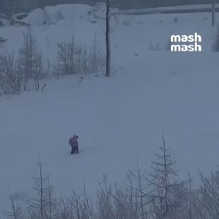 Показываем, как выглядит родительское предательство — мать из Норильска отправила ребёнка в школу, несмотря на пургу и сильный ветер, а сама наблюдает из окна тёплой квартиры и комментирует остросюжетный короткий метр про детскую силу воли.На севере Красно