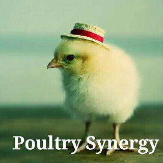 Poultry Synergy Group logo
