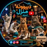 🤪محافظ و پشتیبانی دیوونه منزل🫶🏼