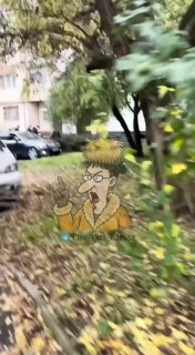 באודסה ניסו עובדי TCC לחטוף אדם, אך תושבים מקומיים עמדו לנגד עיניו הנשים התערבו והגבר הצליח להימלט.