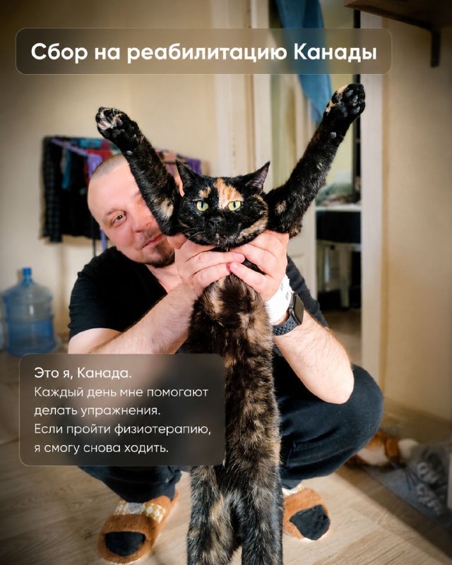 Полгода назад собака покусала меня. Нужна физиотерапия