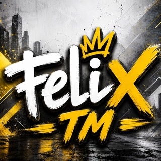 Telegram profile photo for تيم فيليكس | Team Felix