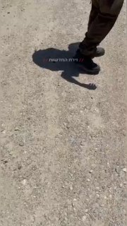 רשת חדשות ירושלים