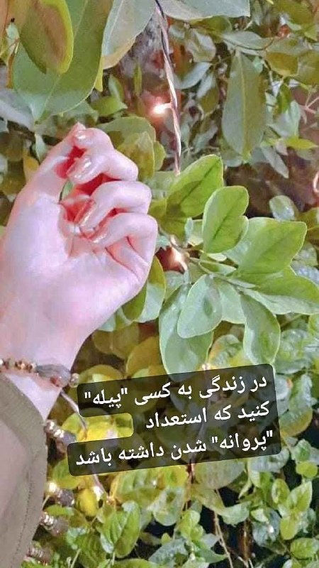 کانال گلستان شعر📕وآهنگ🎧: رسانه پست