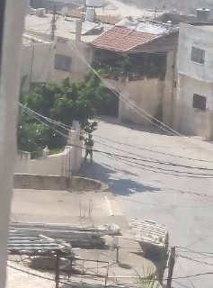 قوات الاحتلال تقتحم قرية الهاشمية غرب جنين