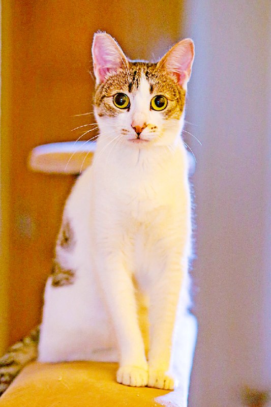 Орнелла и Валиди ищут уютный дом 🥰 — фото 1