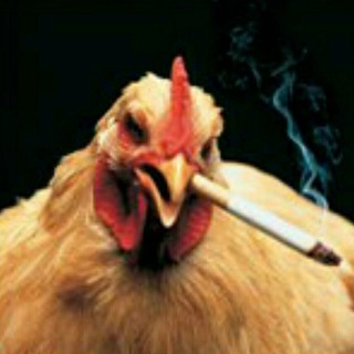 Telegram profile photo for боксаепокса