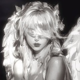 angel's haven