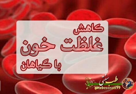 طب سنتی: گیاهان زیر درمان کننده غلظت خون هستند👇کاسنی،شاهتره،آویشن،خارشتر، خارخسک،قدومه،تخم شربتی،چای مکه، زرشک@tebesonati99❤️❤️❤️