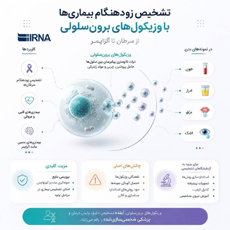 📋 מידע IRNA אבחון מוקדם של מחלות דרך שלפוחיות ברונכו-תאיות / מסרטן ועד אלצהיימר