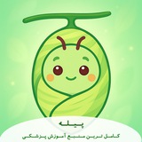پیله | همه‌چیزتمام پره و دستیاری