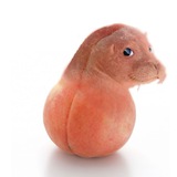 У ссанины