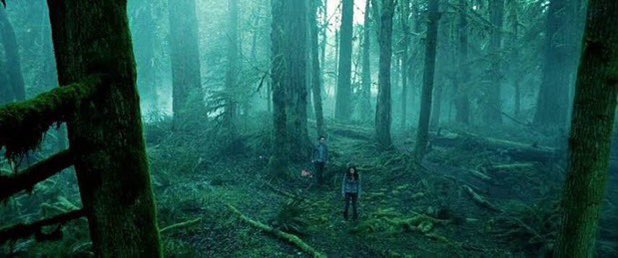 سینما گوزنایت: هیچوقت نفهمیدم چرا Twilight اینقدر هیت میگیره؛ فیلمی که یه نسلو با کلی بند شاهکار راک آشنا کرد، فضاسازیاش برای زمان خود