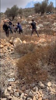 Direct shooting, pursuit and repression.