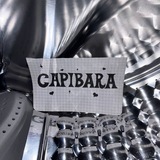 Caplbara