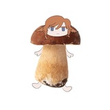 polrisunka