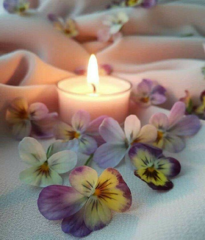 حَوّای‌ بی تو: *خدایا*هر "شب" بہ آسمان "نگاہ مےڪنم و مےاندیشم" در این *آرامش شب* چـہ بسیار "دلها" ڪہ "غمگین و پر اضطرابند" *خدایا‌*تو "