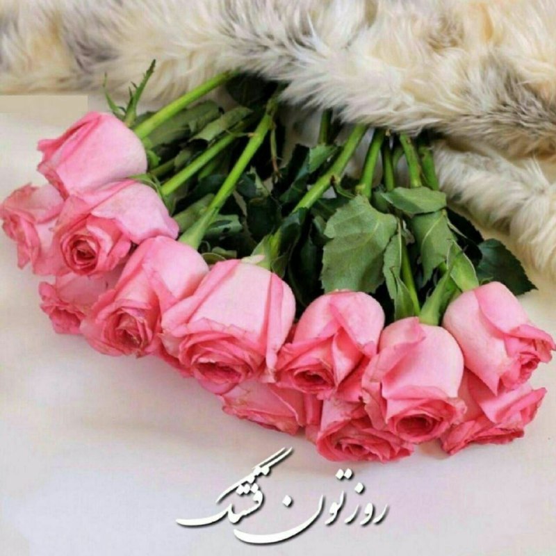 🍃﷽🍃 سنگ صبور🍃﷽🍃: 🌸الهی امروزتون🌷شادمان تر از هر روز🌸دلتون پراز شادی🌷خونتون پراز عشق🌸عشقتون پراز صداقت🌷نونتون پراز برکت🌸زندگيتون پراز صمیم
