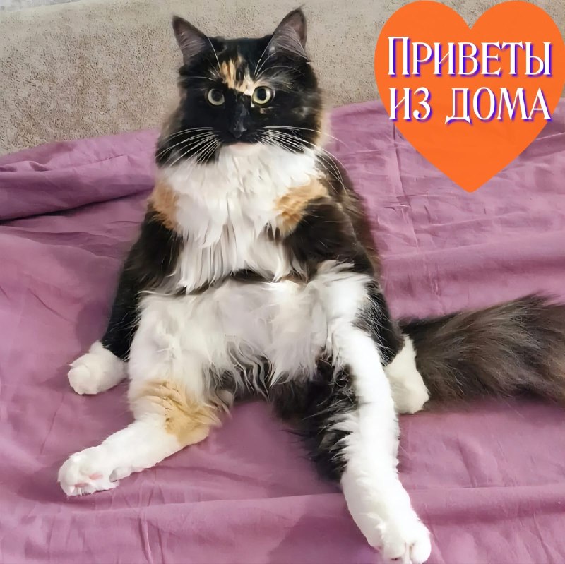 А теперь самые долгожданные приветы из дома от наших...