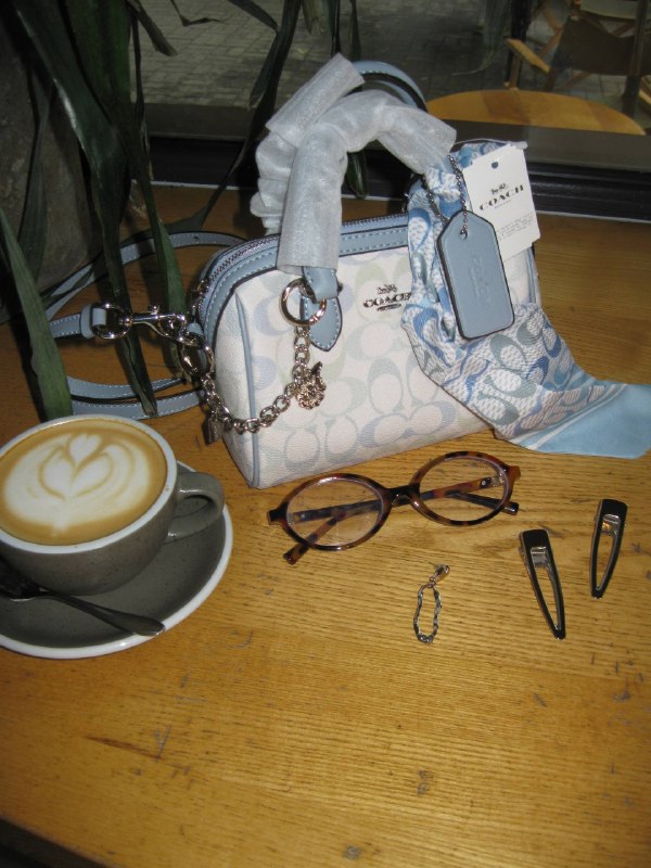 Coach Coach Roman Blue Milk, фото 12