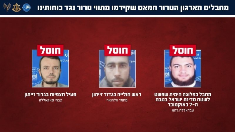ניצן שפירא