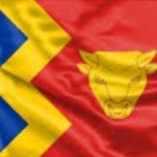 伯明翰香港人 Birmingham Hongkongers Telegram Group Link