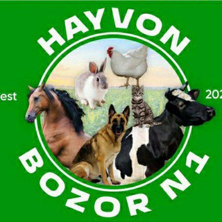 HAYVONOT BOZORI, CHinoz, Yangiyo'l, Quyichirchiq, 🐄🦅🐦‍⬛️🐑🦙🐕‍🦺🐕🦌🐐🦔🐏🐓🦃🦬🐇🦆🐣🕊🦜🦢🕊🦨🐎