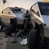 позоры 2024