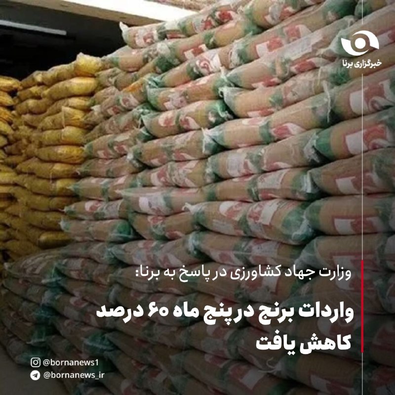 خبرگزاری برنا: وزارت جهاد کشاورزی در پاسخ به برنا:واردات برنج در پنج ماه ۶۰ درصد کاهش یافتوزارت جهاد کشاورزی : 🔸 واردات این محصول در پن