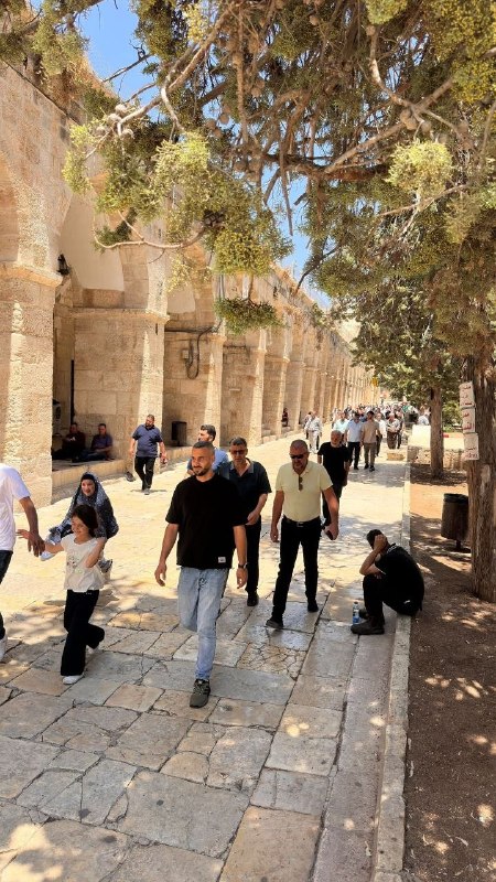רשת חדשות ירושלים