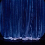 pattes de velour