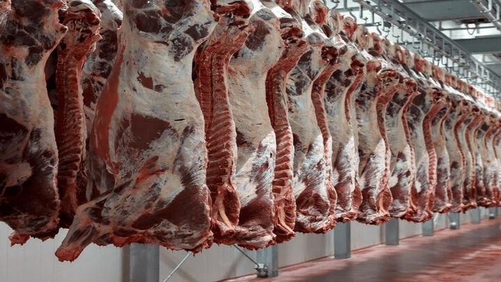 اخبار اصفهان: ثبت سفارش واردات گوشت از امروز آغاز شد🔹وزارت جهاد کشاورزی: متقاضیان واردات گوشت گرم و منجمد گاو، گوساله و گوسفند میتوان