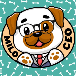 Milo CEO 🐶🚀💎⚡️