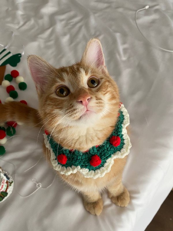 Всем привет! — фото 1