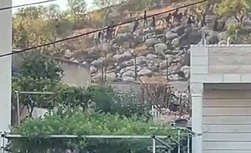 רשת חדשות ירושלים