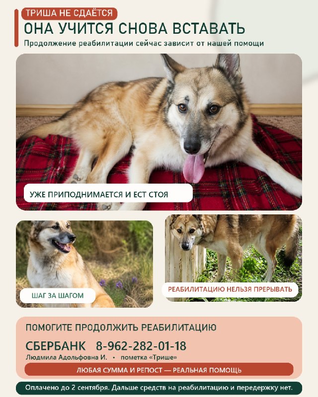 ТРИША УЧИТСЯ СНОВА ВСТАВАТЬ ❤️

Триша уже...