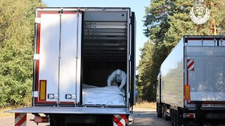 🌐 Обмен телами и гражданскими между РФ и Украиной, задержание наблюдателя «Яблока», закрытие генконсульства ФРГ в Петербурге. Что еще произошло к 18:30 мск:🔹 Война. Россия и Украина провели очередной раунд обмена телами погибших военнослужащих. Киеву были 