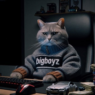 Telegram profile photo for BIGBOYZ