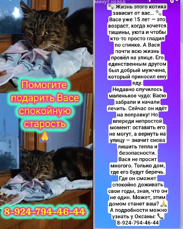 Помогите подарить Васе спокойную старость инут наза...