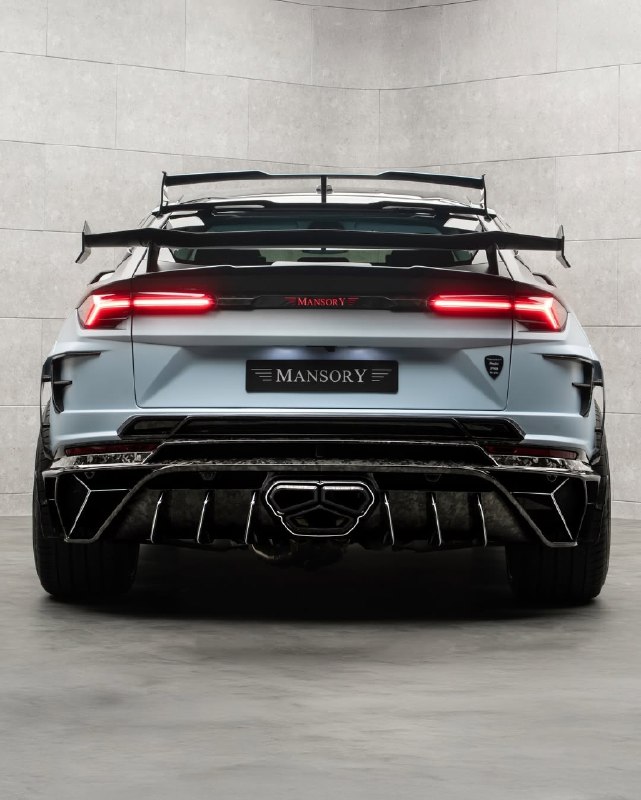 Mansory Venatus EVO S 3