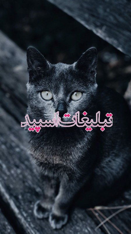 لینکدونی گروه چت شهرکرد: ❶﹚ نام : ◄°ll° Meeting Voice Chat °ll°►❷﹚ نو؏ تبلیغات : #telegram❸﹚ توضیحات :ويس كال🔊 𝟤𝟦 ساعته🎧دربزرگترین گروه تلگرامی👑ه